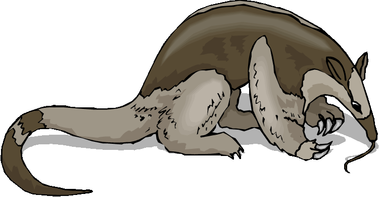  - Anteater Clipart