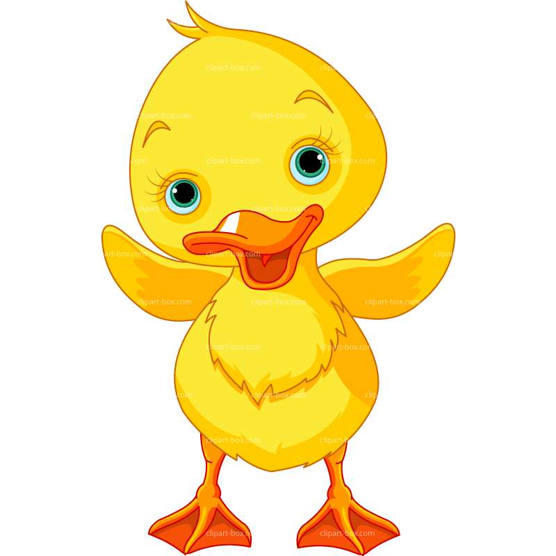 Baby duck clipart