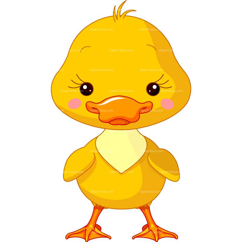 - Baby Duck Clipart