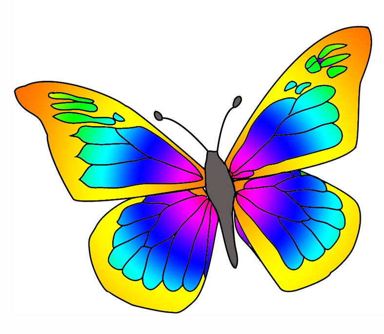 Colorful butterflies clipart 