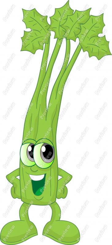  - Celery Clipart