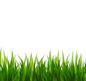 Greengrass Background Clip Ar
