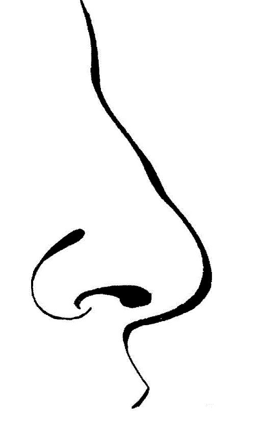  - Clipart Nose