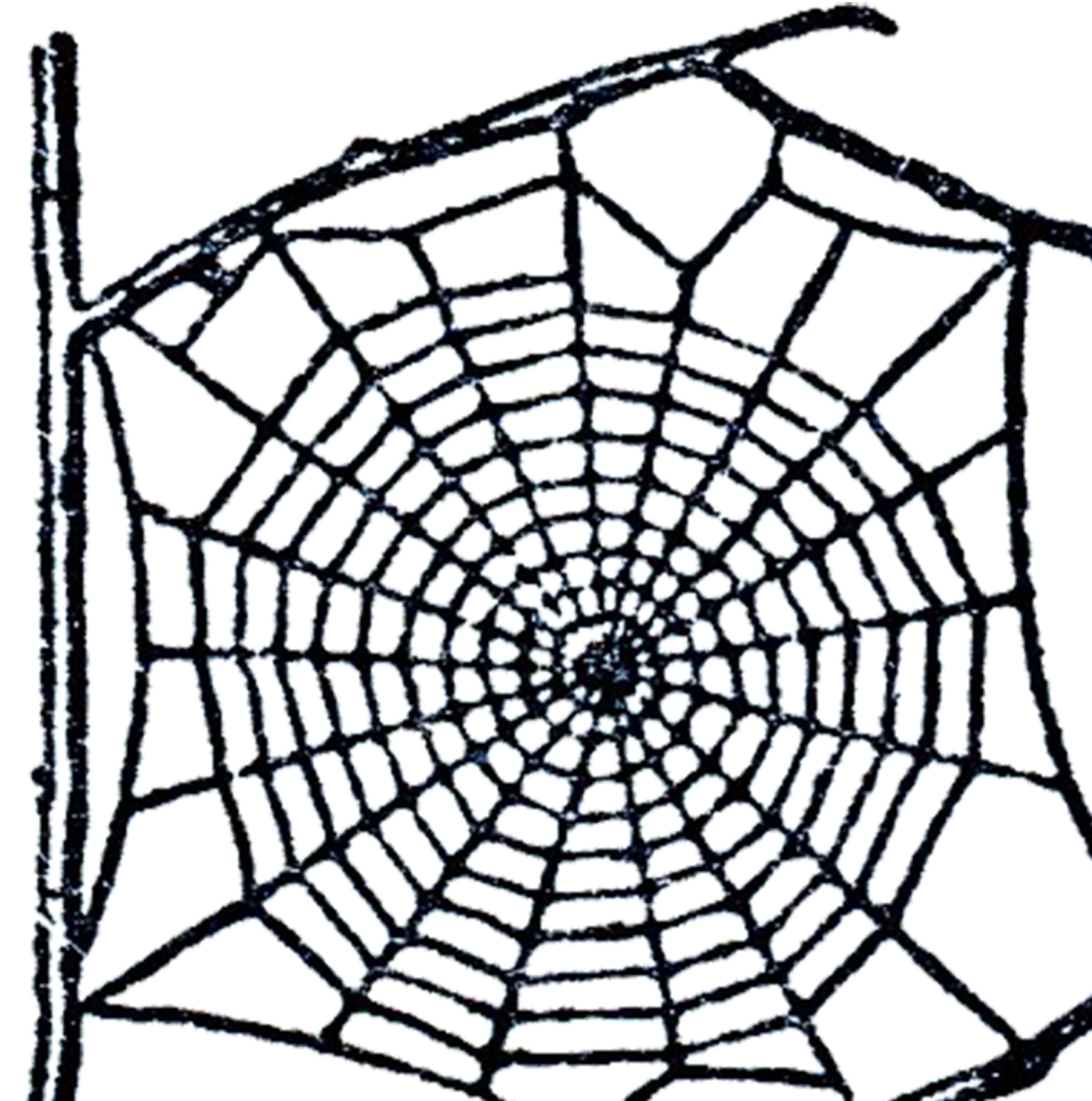  - Clipart Spider Web