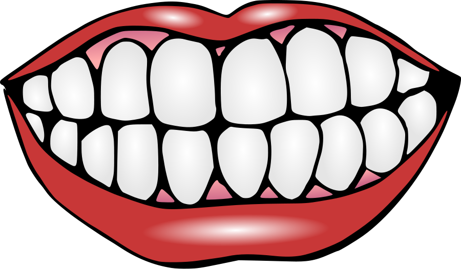 Tooth Outline Clipart