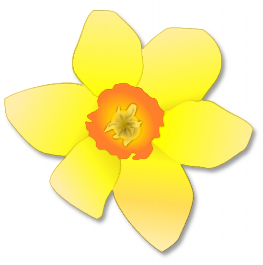 Daffodil Flower Clip Art