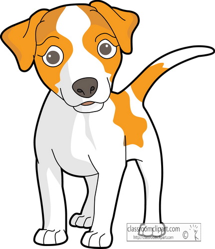 Image of Brown and White Dog 