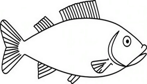 Fish clip art vector free cli