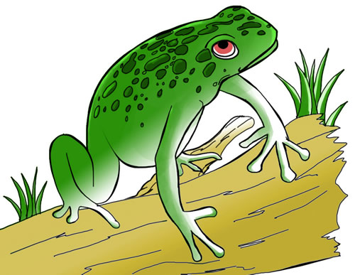  - Free Frog Clipart