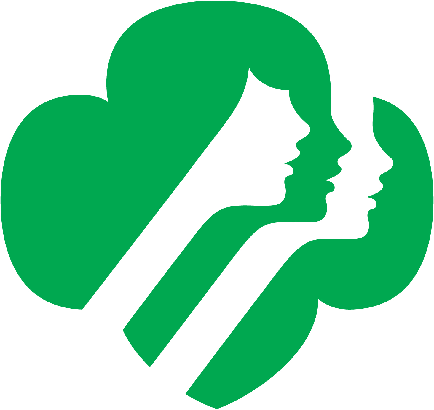 Photos of girl scout logo tem