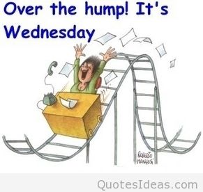 Camel Commercial Hump Day Ova