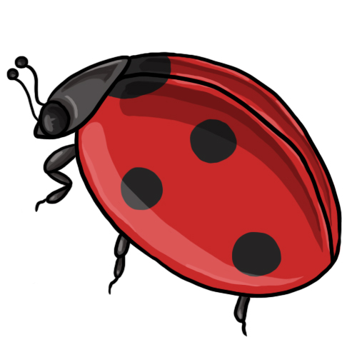 Flying Ladybug