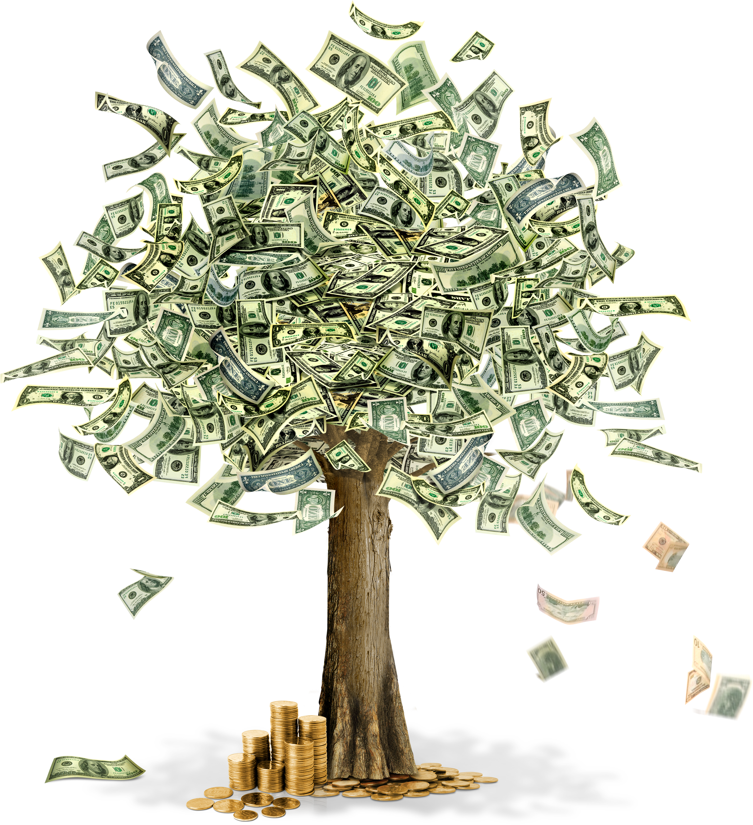  - Money Tree Clipart