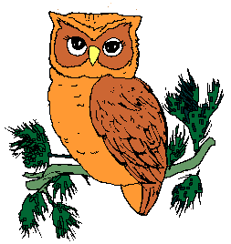  - Owl Image Clipart