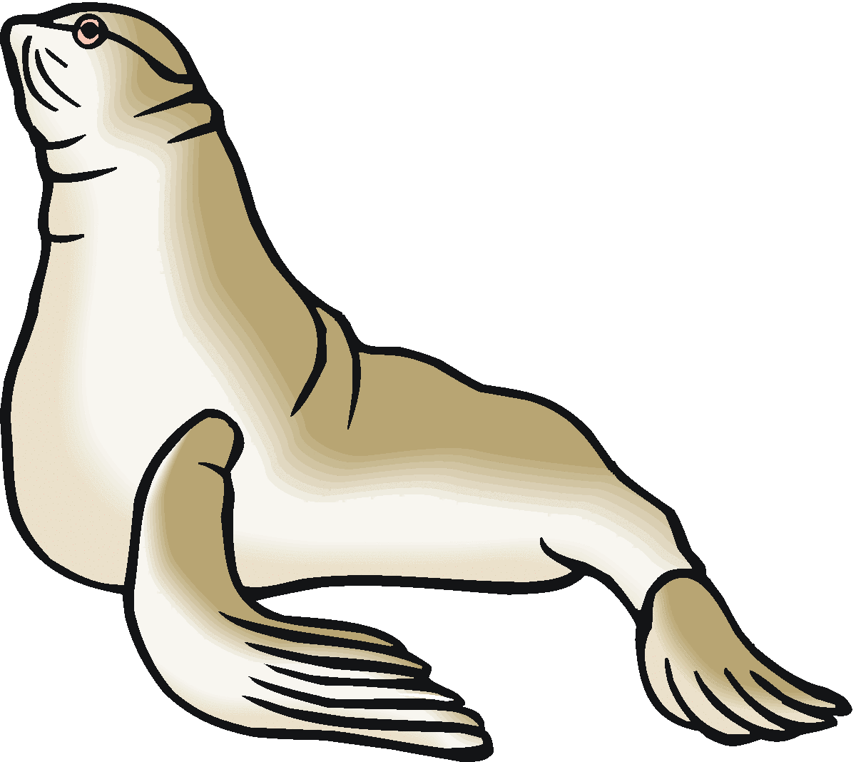  - Sea Lion Clip Art