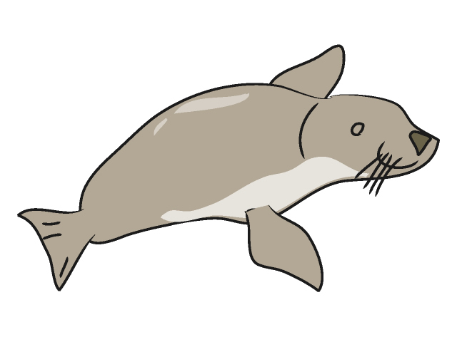 Sea Lion Stock Illustrationby