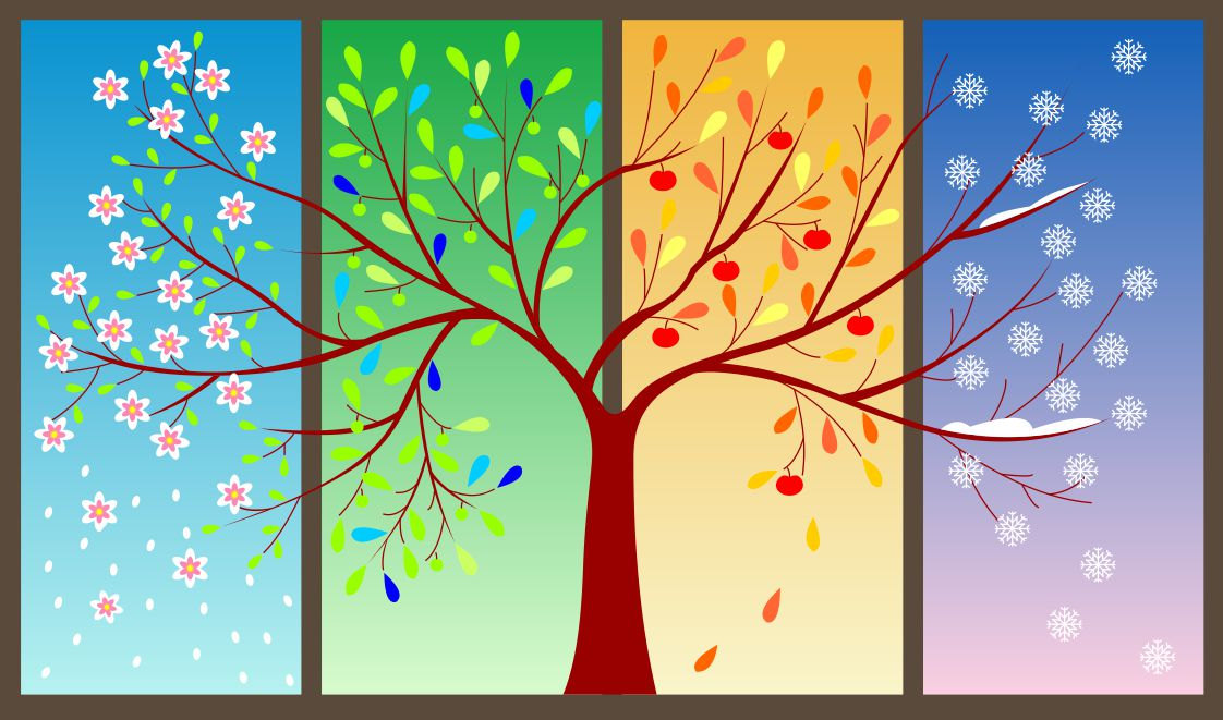 Vector - four seasons tree u0