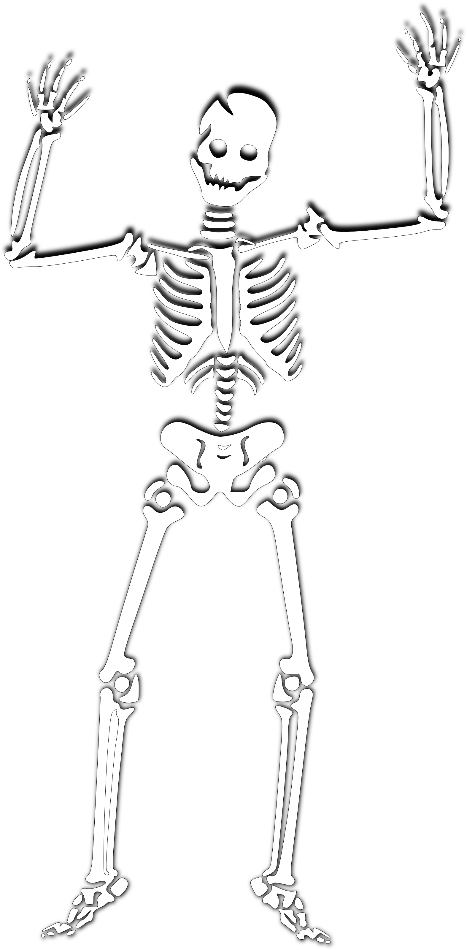  - Skeleton Clip Art