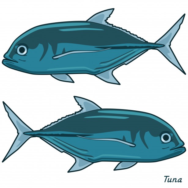  - Tuna Clip Art