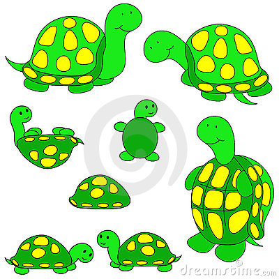  - Turtles Clipart