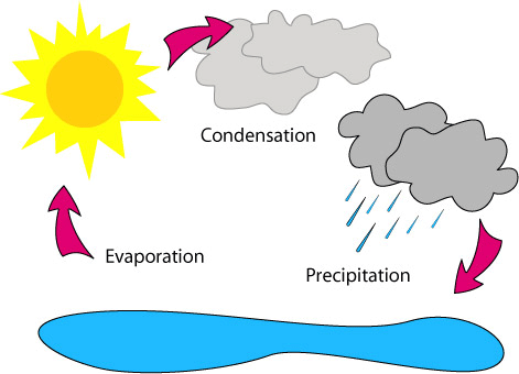  - Water Cycle Clip Art