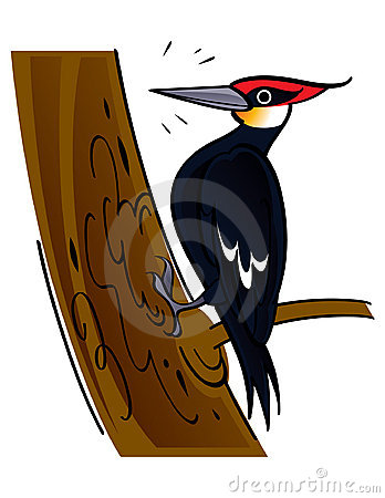  - Woodpecker Clipart