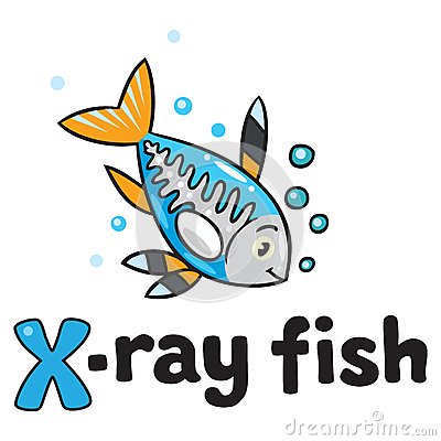  - X Ray Fish Clipart