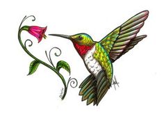 0 images about hummingbirds clipart