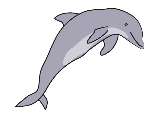 02 Dolphin Free Animal Clip A - Clip Art Dolphin