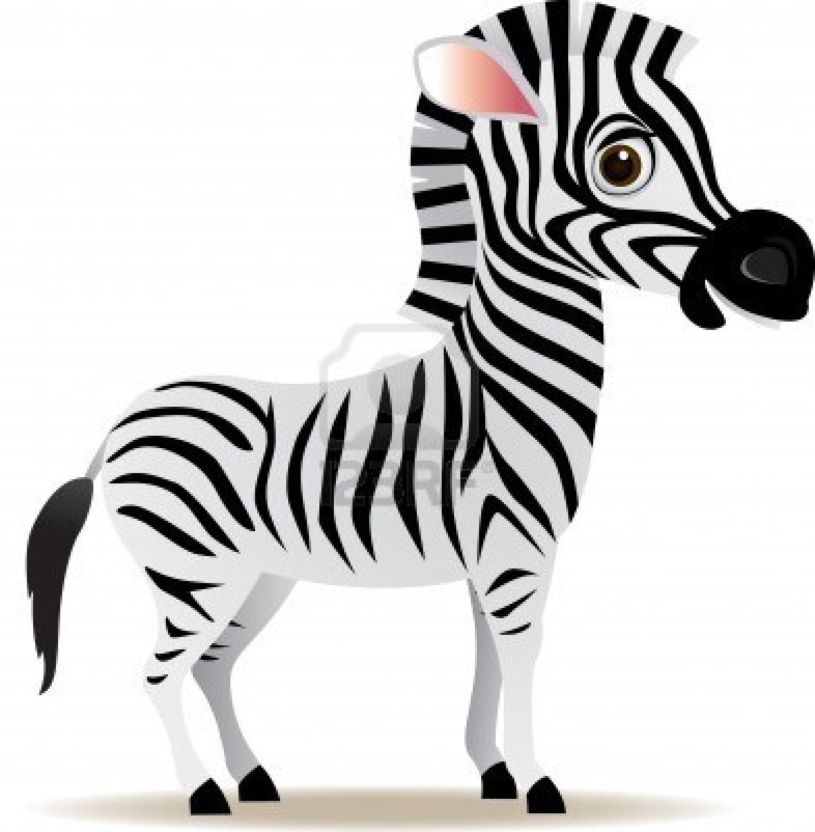 10 Best images about Zebras on Pinterest | Clip art, Rainbow wall and Neon green