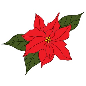 10  images about Poinsettia on Pinterest | Colors, Church and Coloring pages