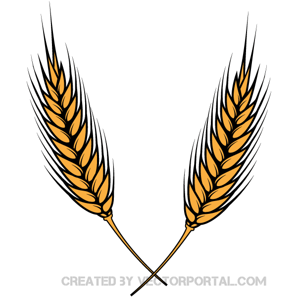 Clipart Illustration Wheat Gr