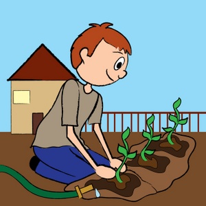 Planting Trees Clipart