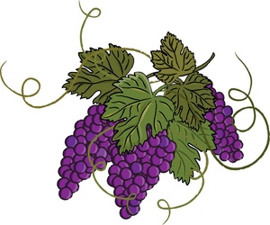 1000  images about Grape Art on Pinterest | Vineyard, Clip art and Green grapes