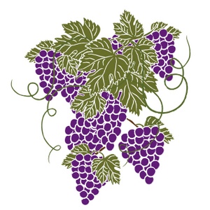 1000 images about Grape Art on Pinterest | Vineyard, Clip art and Green grapes