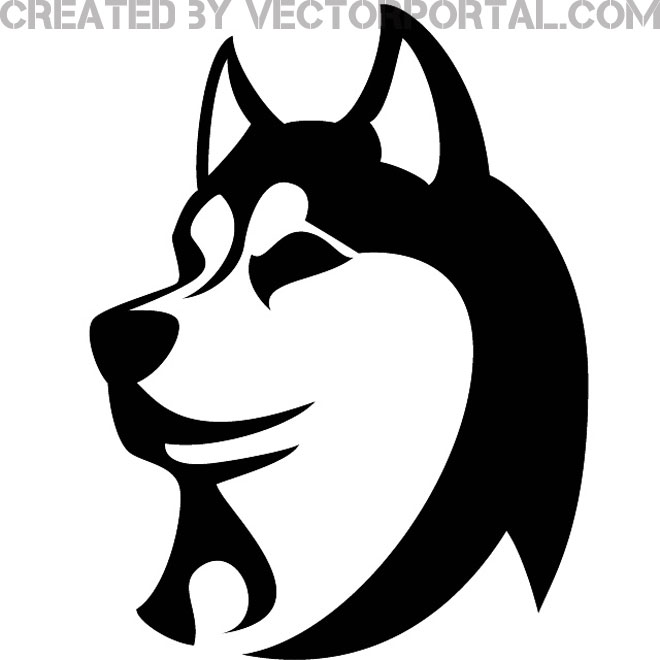 1000 images about husky ideas .