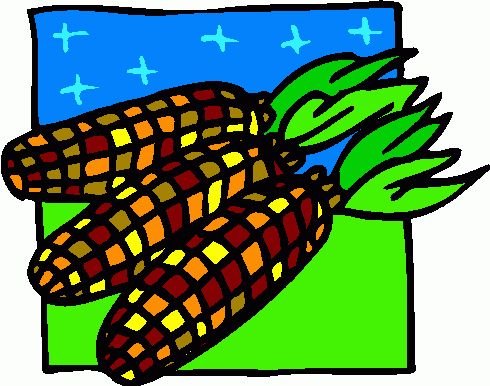... 1000  images about INDIAN - Indian Corn Clipart