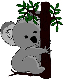 1000  images about Koalas on  - Koala Clip Art