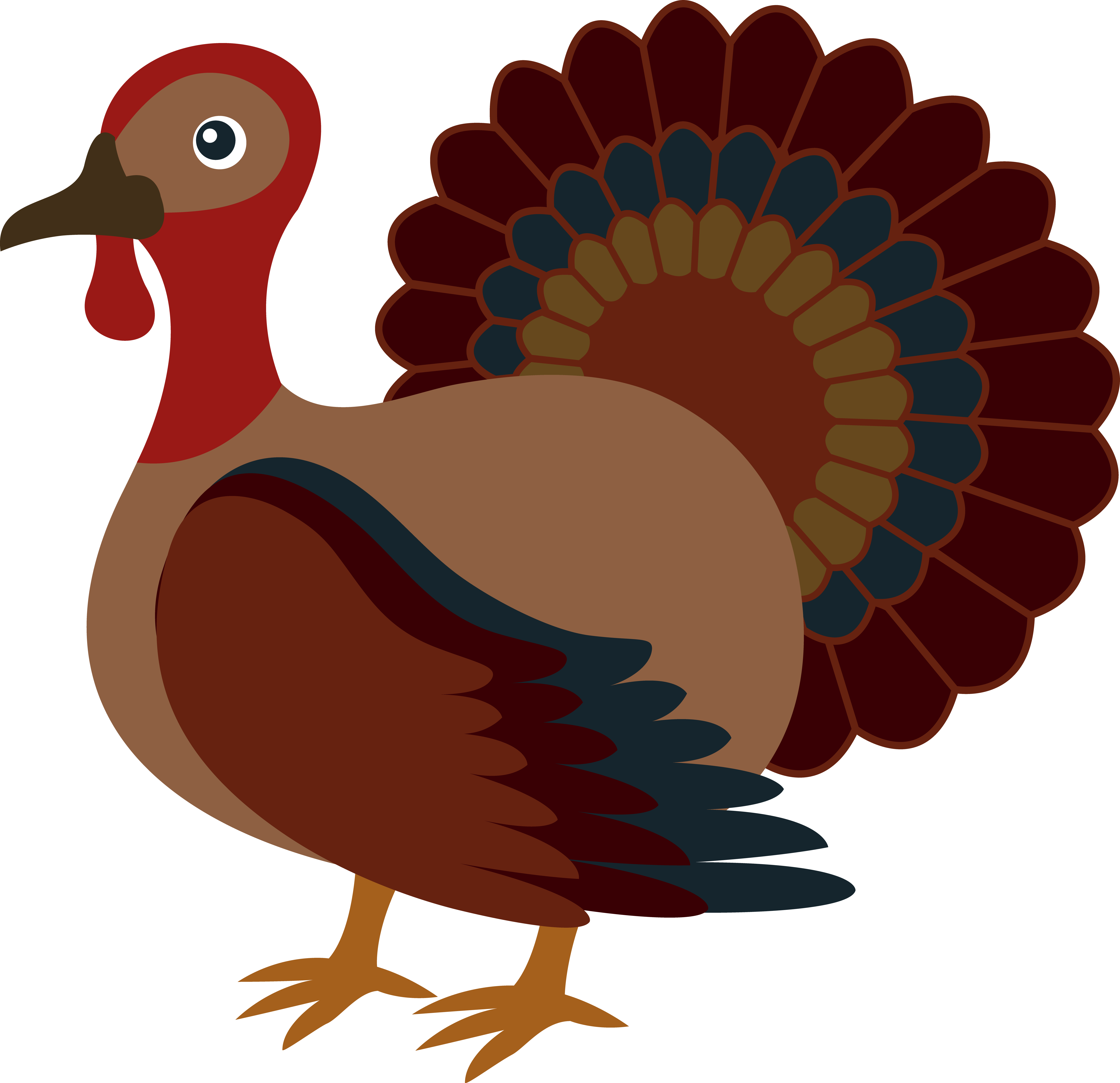 1000  images about Reference  - Thanksgiving Clipart Turkey