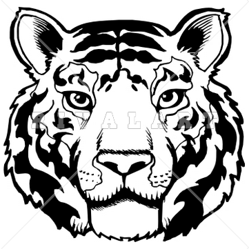 1000  images about Tigers on  - Black And White Tiger Clipart