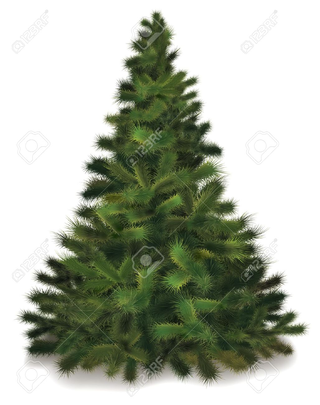 11341334-Christmas-tree- . - Evergreen Tree Clipart