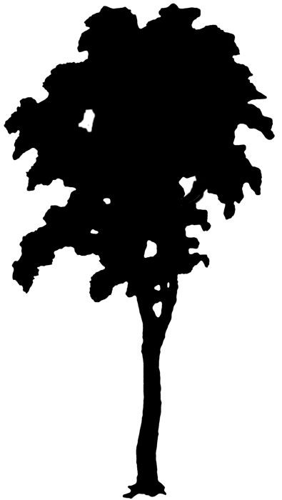 14 Trees Silhouette Free Cliparts That You Can Download To You