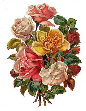 17  images about vintage flowers- FMP paris on Pinterest | Yellow roses, Clip art and Pansies