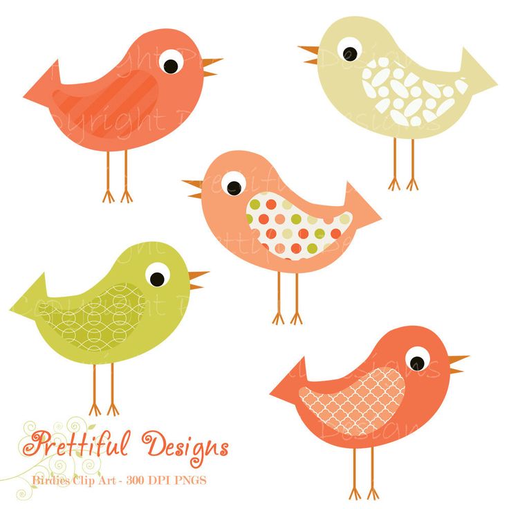 Cute Birds Cliparts Great For