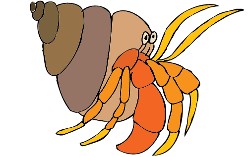 hermit crab: A cartoon illust