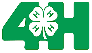 4 H Logo Clip Art - Getbellho