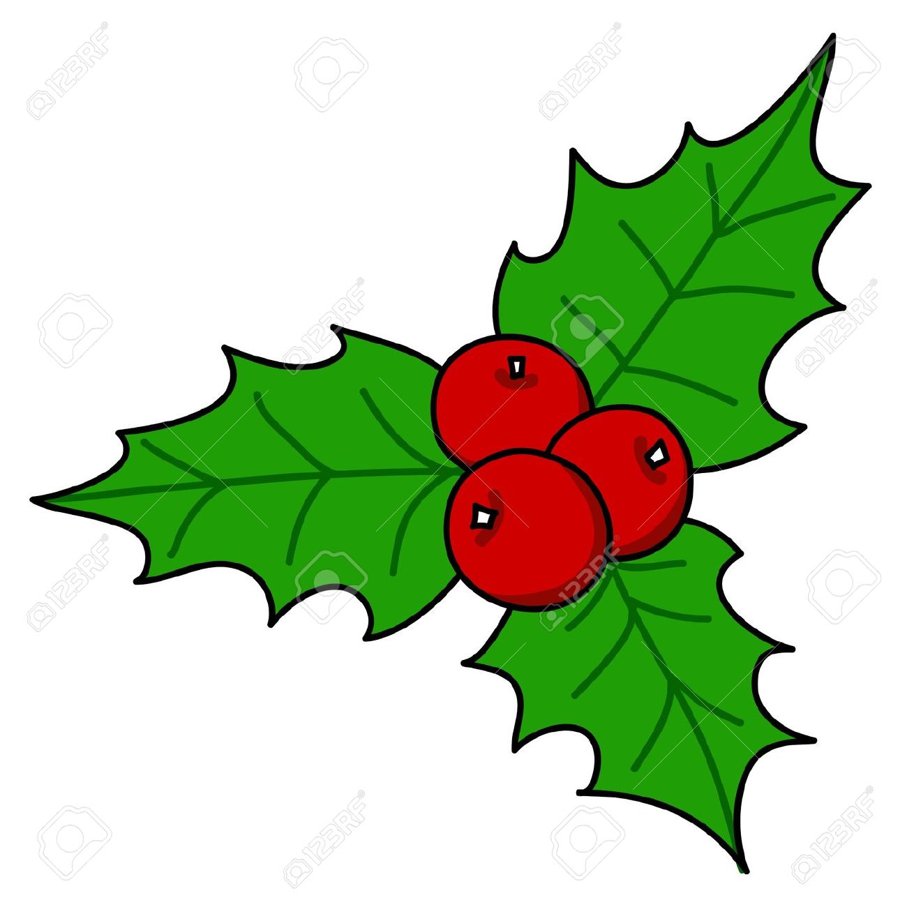 49 holly leaves and berries clip art