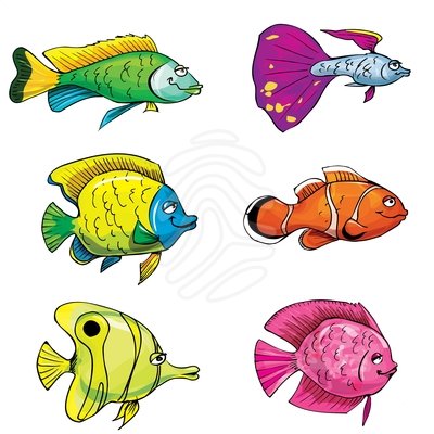 78  images about tropici fish - Fishes Clipart