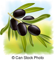 ... A branch of black olives. Vector illustration on fullcolor.