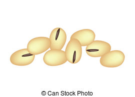 ... A Stack of Soybeans on White Background - Vegetable and.